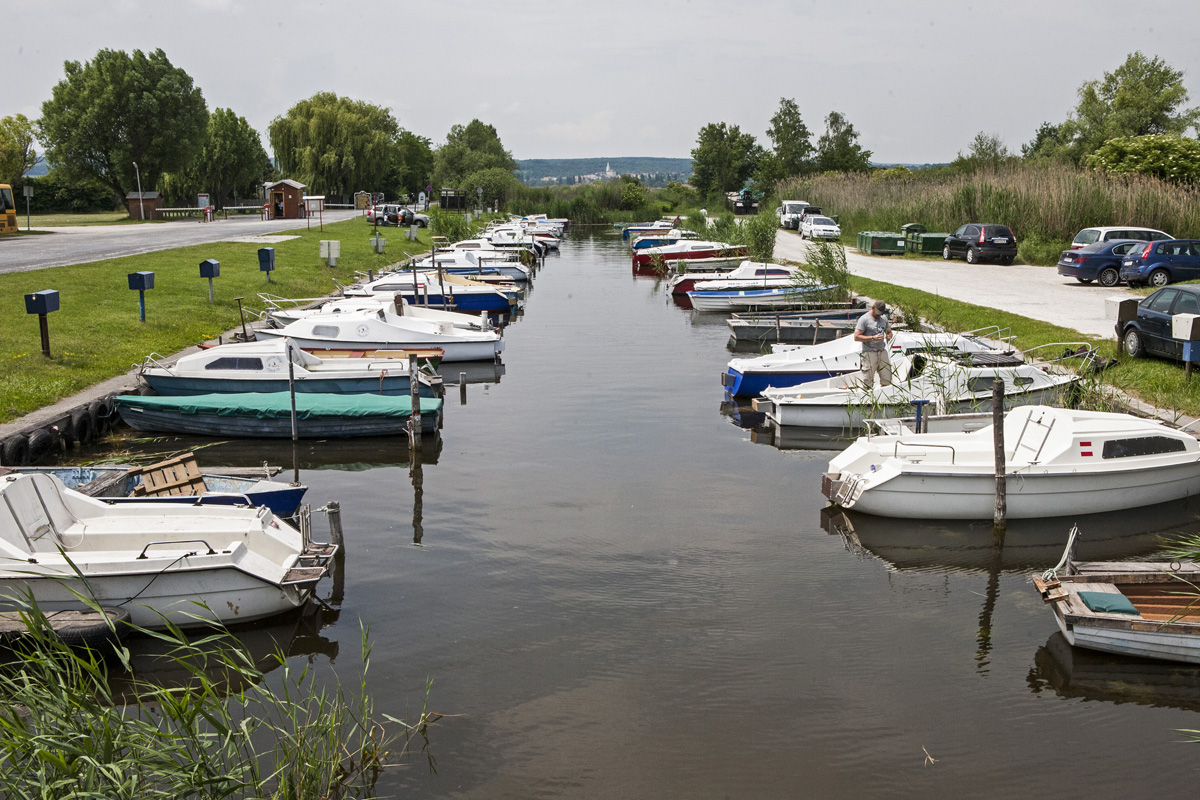 Fertő tó: egy csepp nyugalom az érintetlen természet közepén Fertő tó: egy csepp nyugalom az érintetlen természet közepén