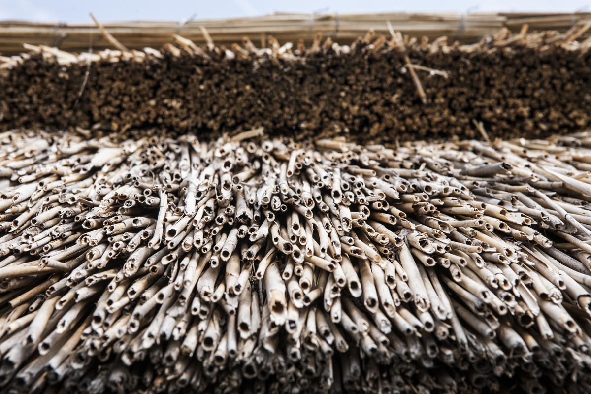 Fertő tó: egy csepp nyugalom az érintetlen természet közepén Fertő tó: egy csepp nyugalom az érintetlen természet közepén