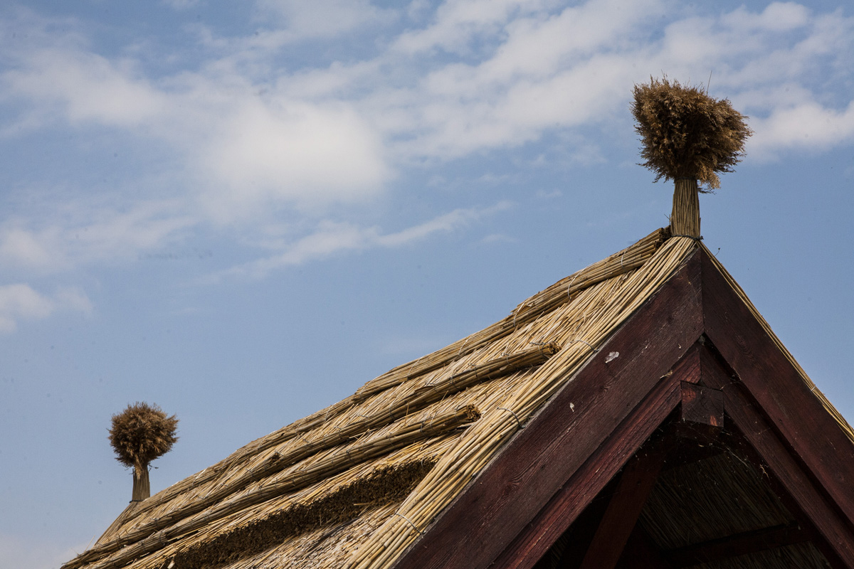 Fertő tó: egy csepp nyugalom az érintetlen természet közepén Fertő tó: egy csepp nyugalom az érintetlen természet közepén