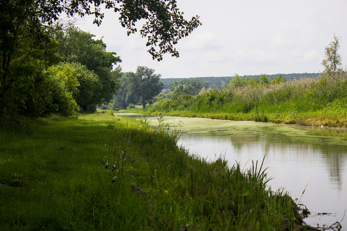 Fertő tó: egy csepp nyugalom az érintetlen természet közepén Fertő tó: egy csepp nyugalom az érintetlen természet közepén