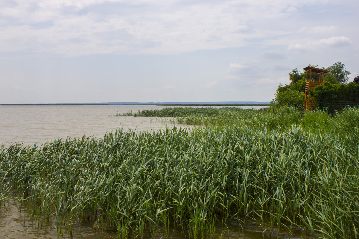 Fertő tó: egy csepp nyugalom az érintetlen természet közepén Fertő tó: egy csepp nyugalom az érintetlen természet közepén