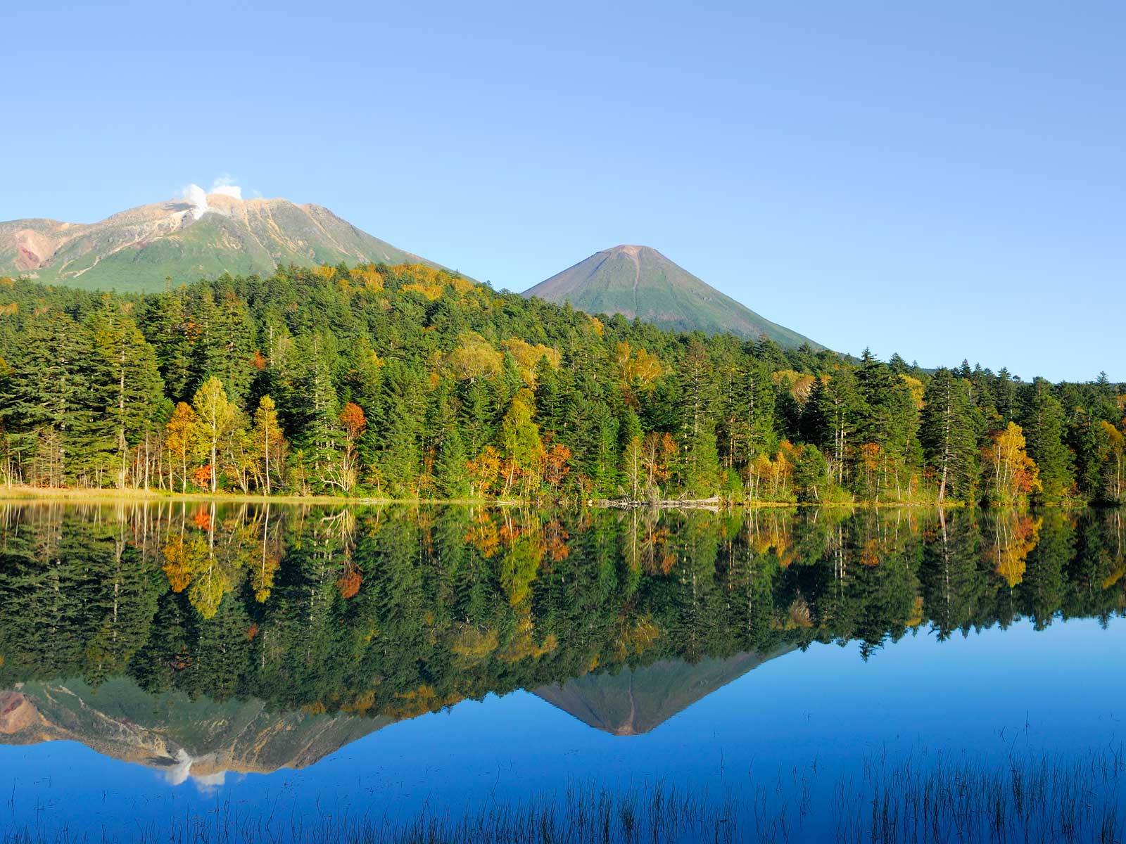 Megbocsát szüleinek az erdőben hagyott japán kisfiú