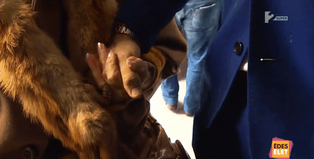 Berki Krisztián el akart téríteni egy buszt Berki Krisztián el akart téríteni egy buszt