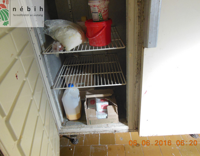 Csótányok között sütötték a kenyeret - videó