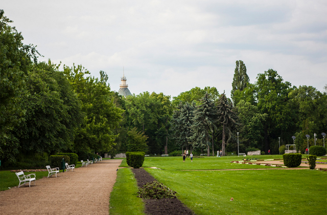 Fáról kukkolt a szatír a Margitszigeten