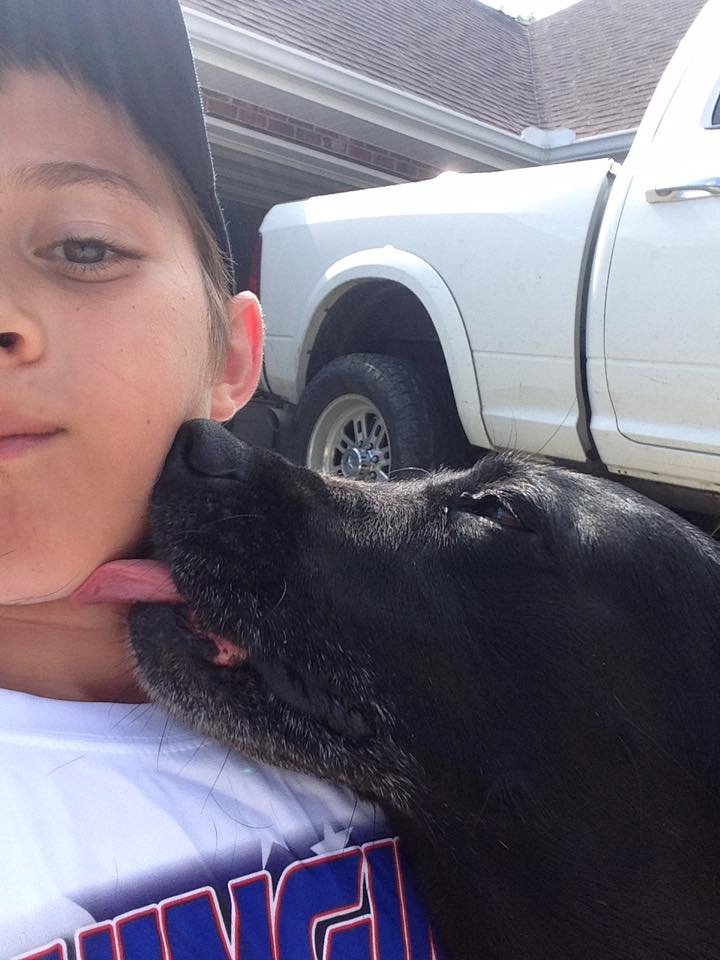 Ez a fiú mindennap beosont egy házba, hogy miért, attól leesik az állad - videó