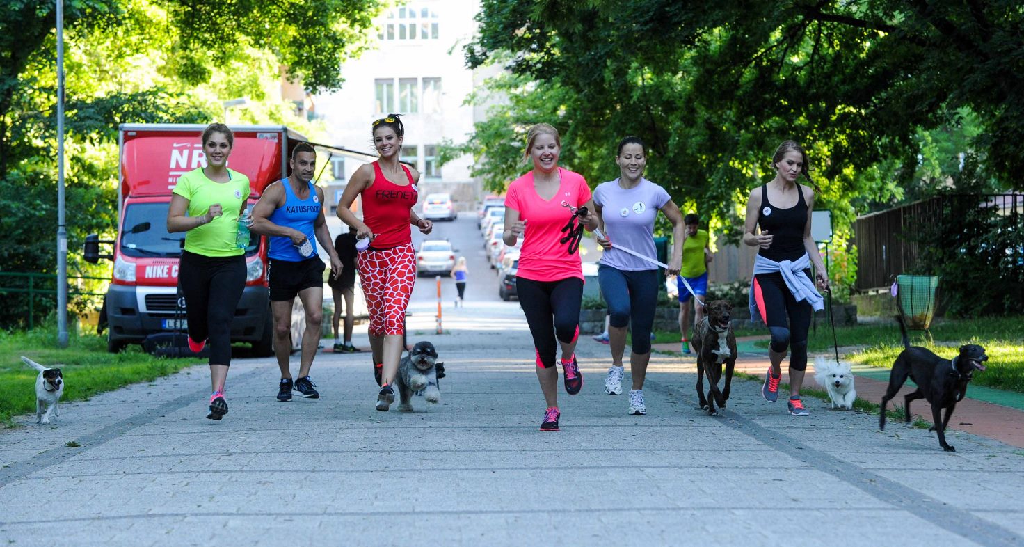 Cicanadrágban kutyáztak a sztárok