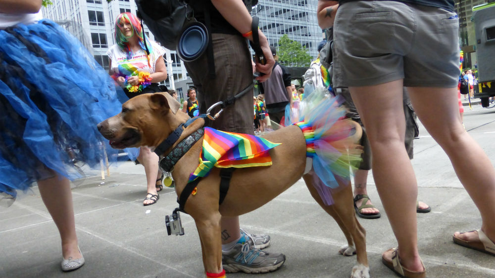 20 emlékeztetető, hogy a szerelem erősebb a gyűlöletnél
