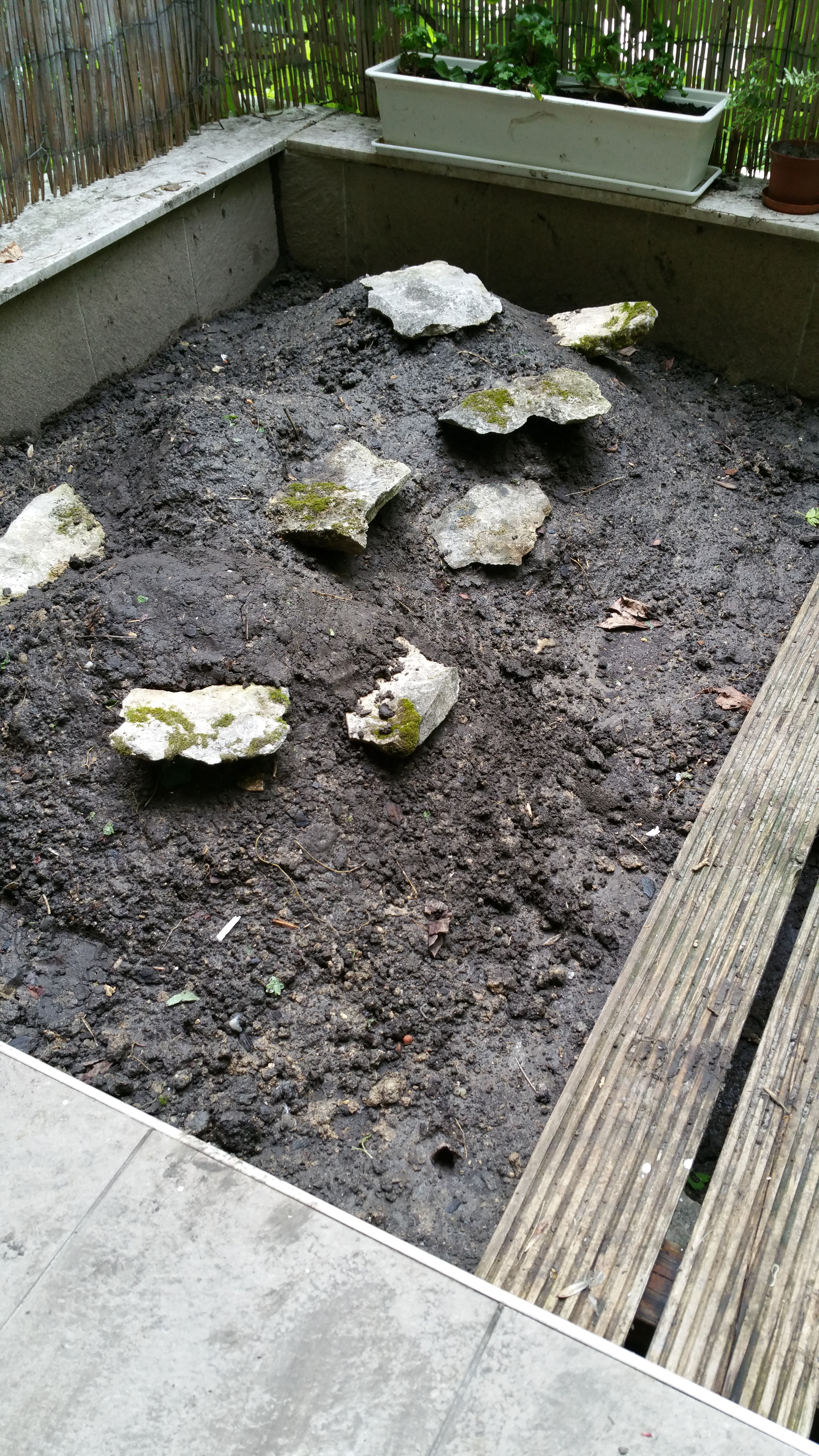 így lett nyakig érő gaztengerből csodaszép kertem - fotók