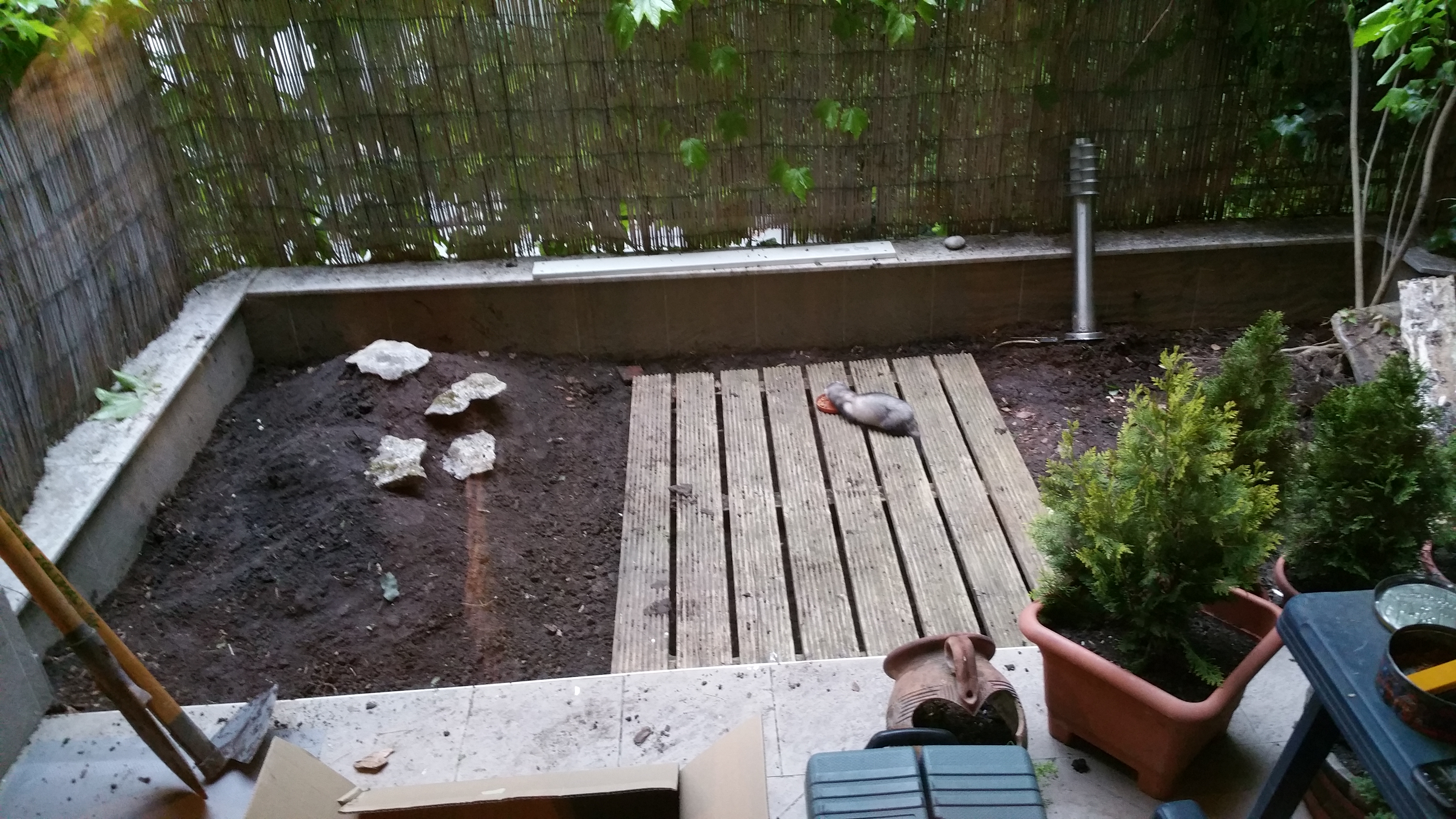 így lett nyakig érő gaztengerből csodaszép kertem - fotók