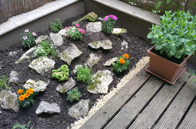 így lett nyakig érő gaztengerből csodaszép kertem - fotók