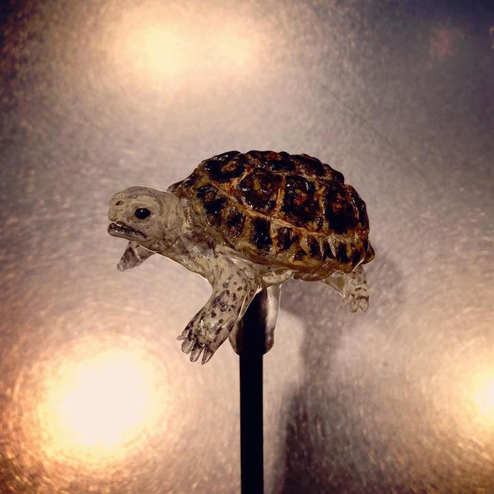 Ezek a japán nyalókák valódi műalkotások