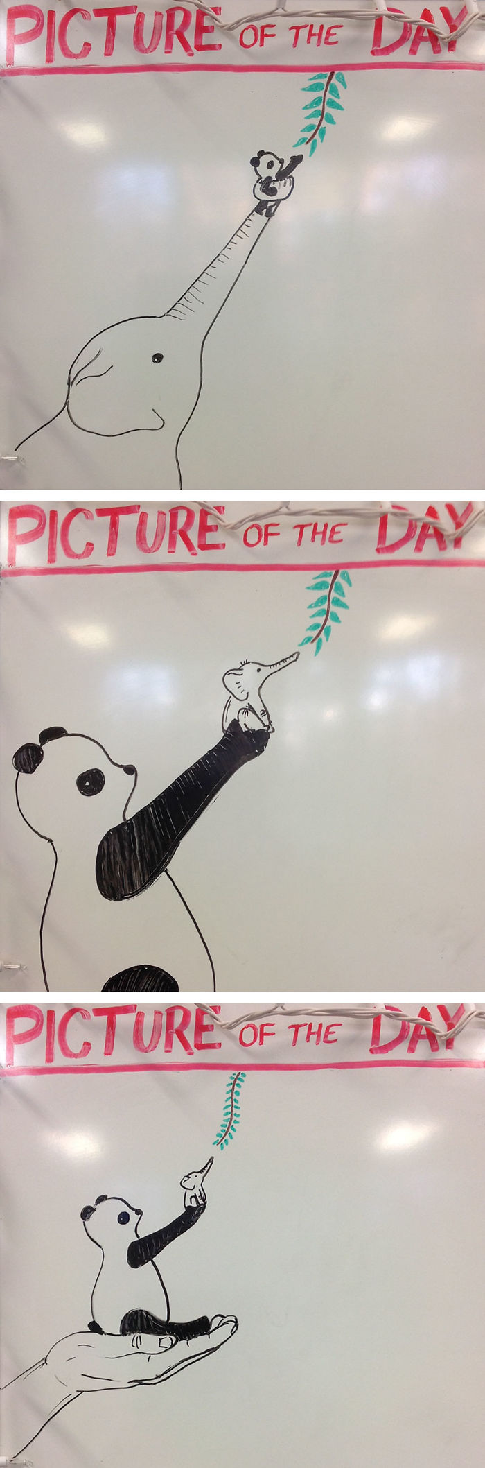 Minden nap rajzol diákjainak a kreatív tanár