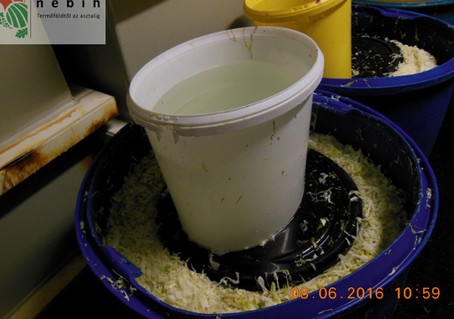 Undorító körülmények között készült a savanyúság - fotók