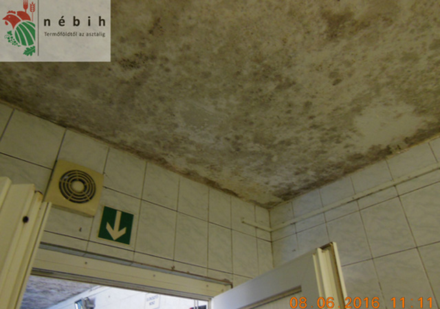 Undorító körülmények között készült a savanyúság - fotók