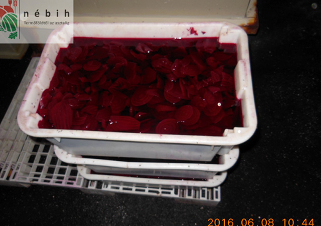 Undorító körülmények között készült a savanyúság - fotók