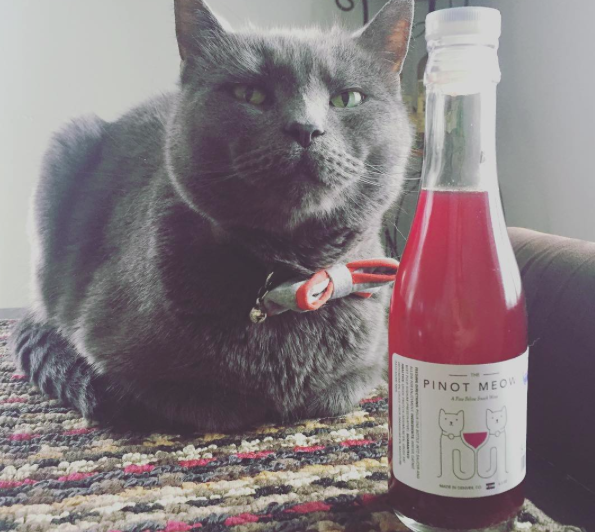 Már a macskáddal is borozgathatsz péntek esténként