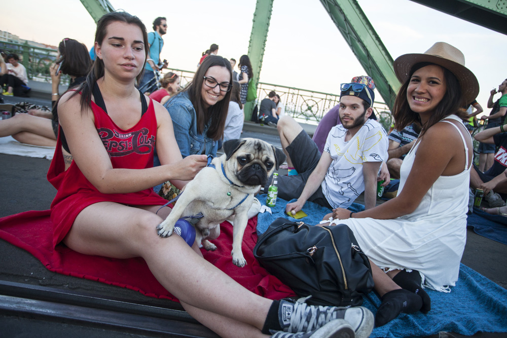 Piknik a lezárt Szabadság-hídon