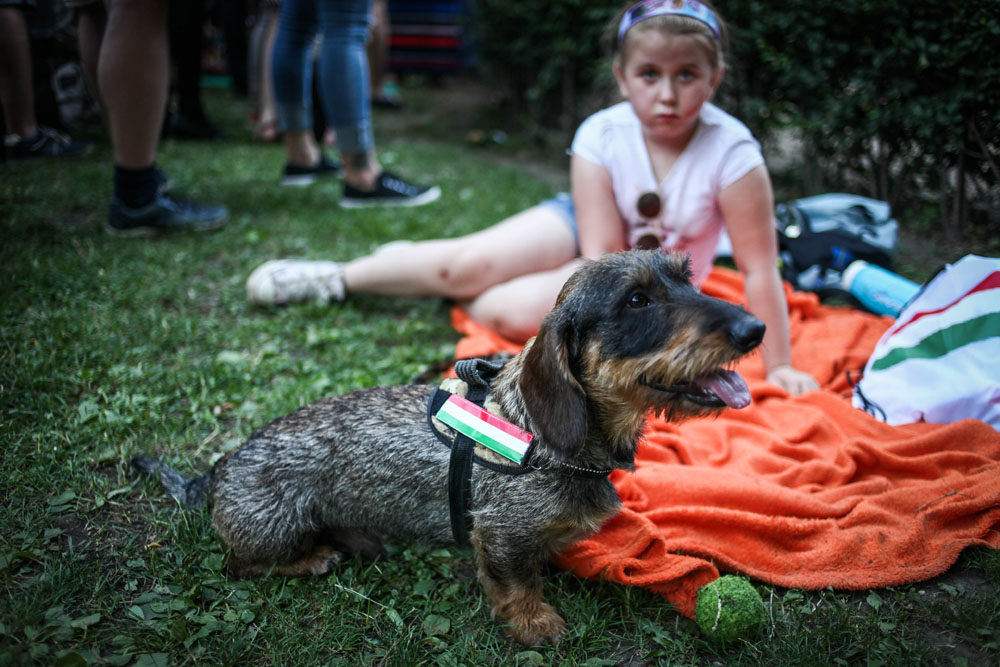 A mai gyerekek már nem Messik és Ronaldók, hanem Dzsudzsákok és Gerák - így szurkolnak a legkisebb magyarok