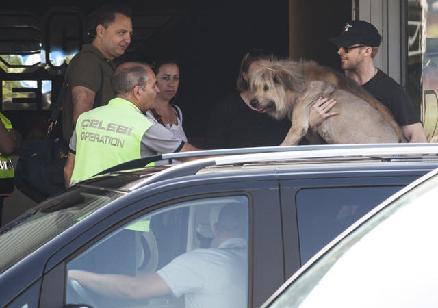 Figyelem! Budapesten van Ryan Gosling - fotók Figyelem! Budapesten van Ryan Gosling - fotók