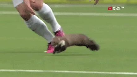 Az új fociszabályokról dióhéjban