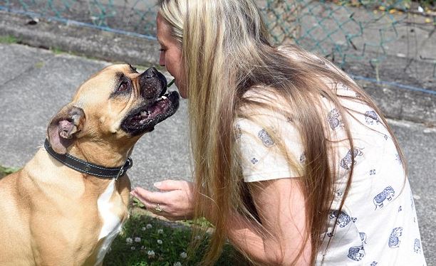 Senki sem fogadja örökbe a kutyát, mert túlságosan szereti az embereket