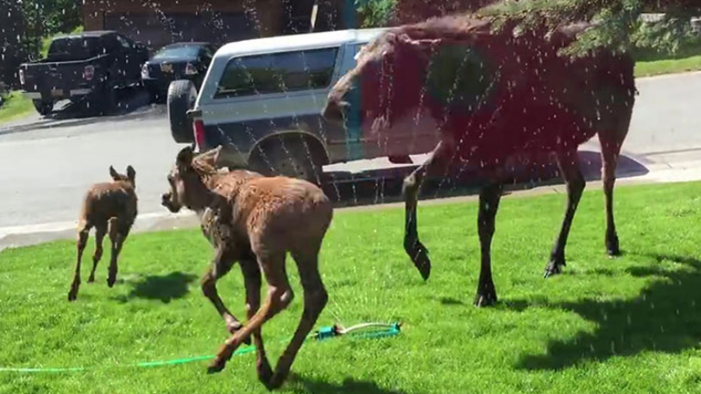 Hajnalban megdőlt a melegrekord