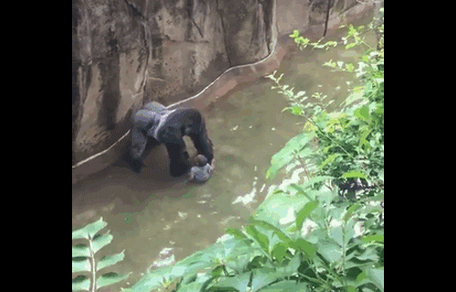 Mindegy, milyen tragédia ér, tuti te vagy a hibás