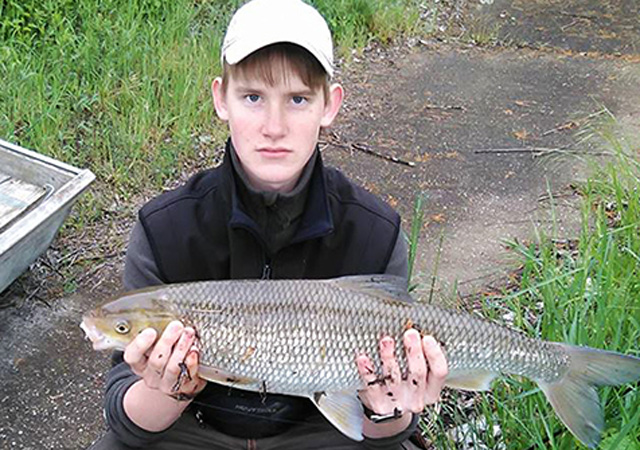 Forrás: haltanitarsasg.hu