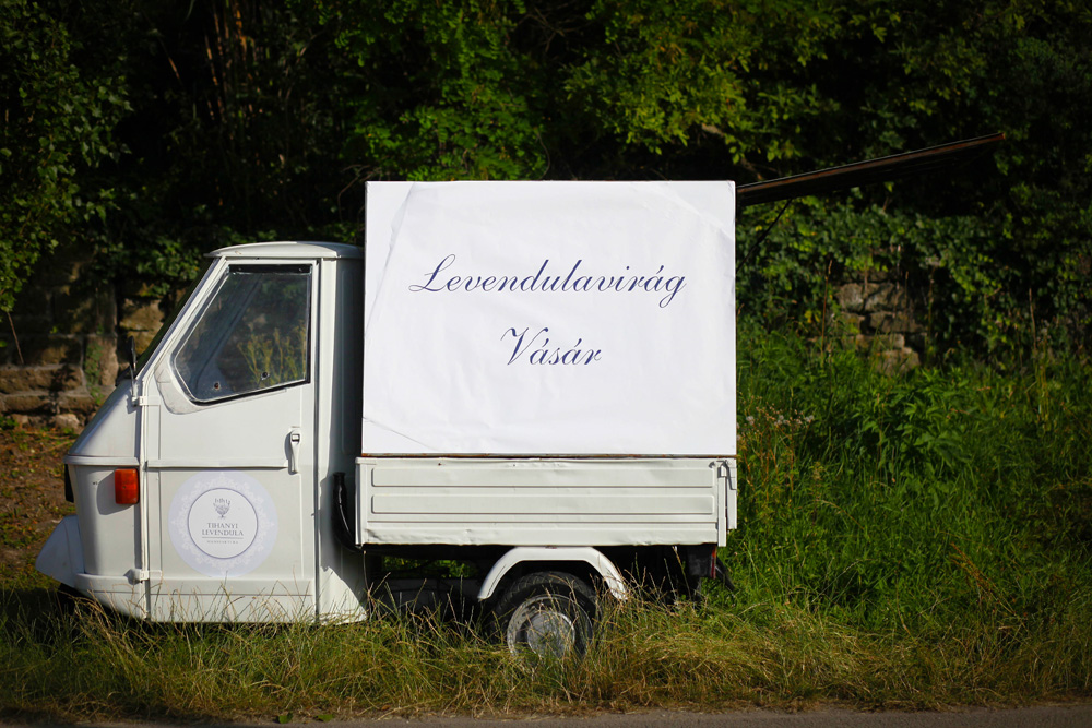 Elkezdődött a Levendulafesztivál Tihanyban - szüreteltünk az Öreg-Levendulásban Elkezdődött a Levendulafesztivál Tihanyban - szüreteltünk az Öreg-Levendulásban