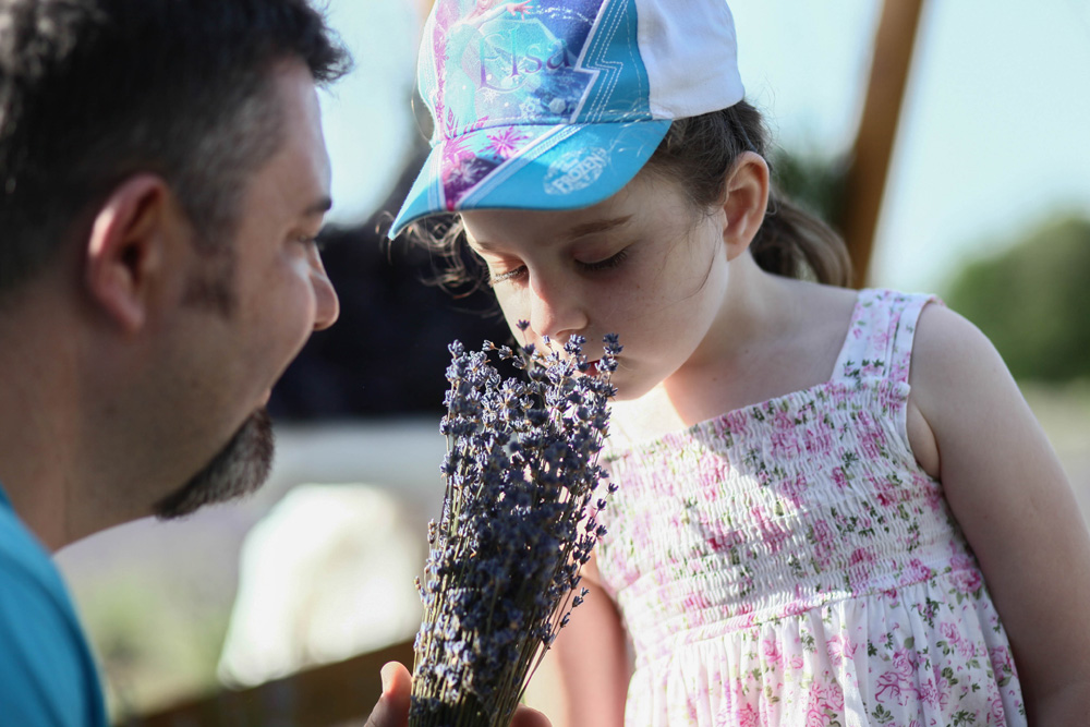 Elkezdődött a Levendulafesztivál Tihanyban - szüreteltünk az Öreg-Levendulásban Elkezdődött a Levendulafesztivál Tihanyban - szüreteltünk az Öreg-Levendulásban
