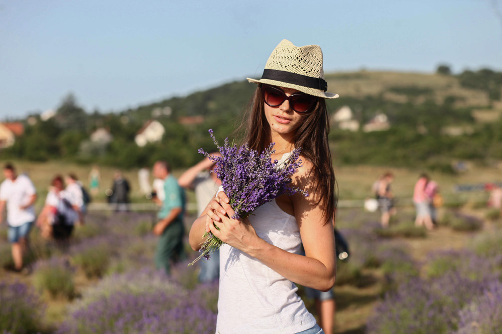 Elkezdődött a Levendulafesztivál Tihanyban - szüreteltünk az Öreg-Levendulásban Elkezdődött a Levendulafesztivál Tihanyban - szüreteltünk az Öreg-Levendulásban