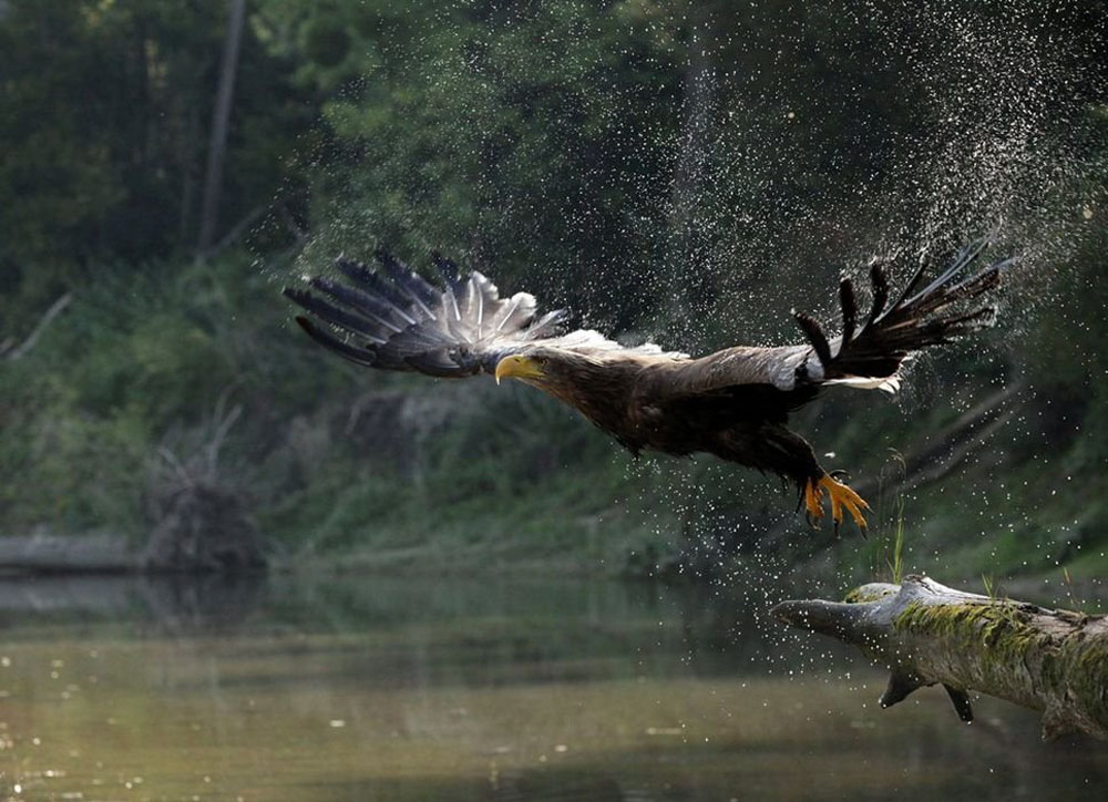 15 fotó, amitől újra beleszeretsz a Dunába