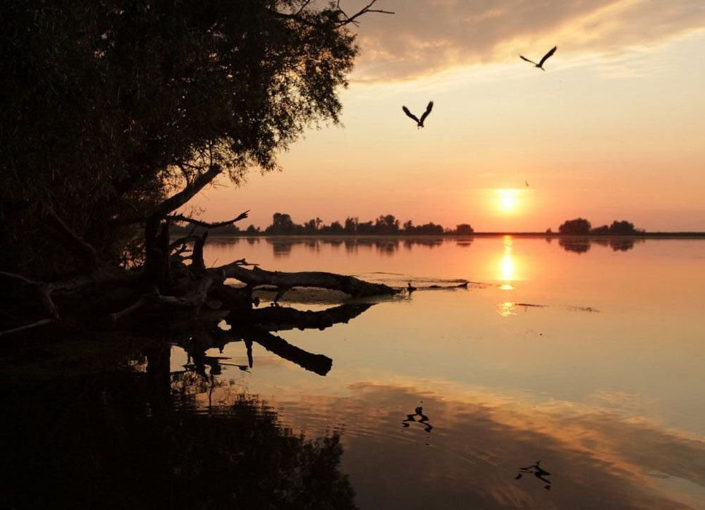 15 fotó, amitől újra beleszeretsz a Dunába