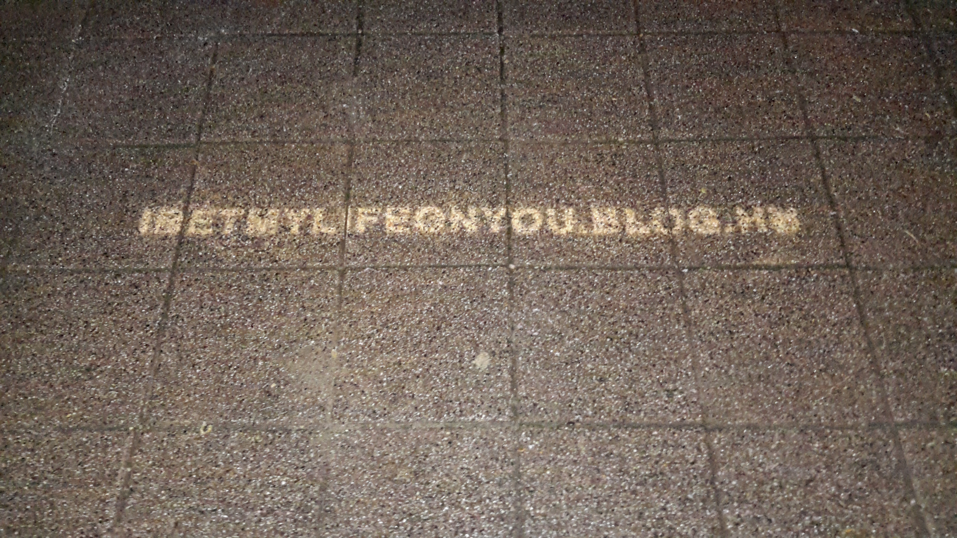 Ez a felirat jelent meg több helyen is a budapesti járdákon