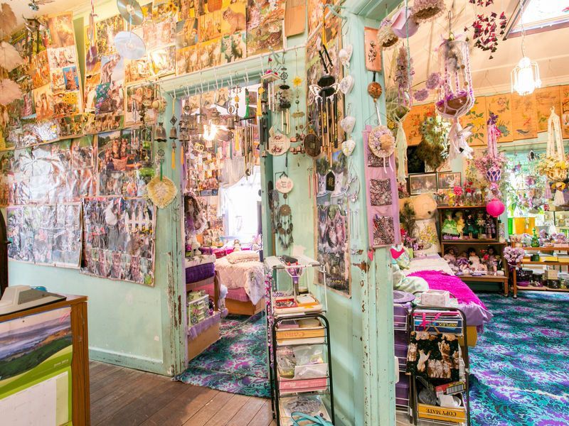 Ijesztően fest a macskamániások otthona Ijesztően fest a macskamániások otthona