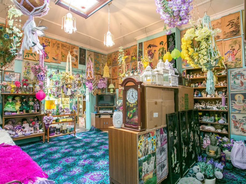 Ijesztően fest a macskamániások otthona Ijesztően fest a macskamániások otthona