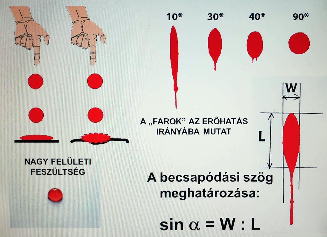 A vérnyomok vizsgálata itt kezdődik (Kép: Dr. Petrétei Dávid/BSZKI)