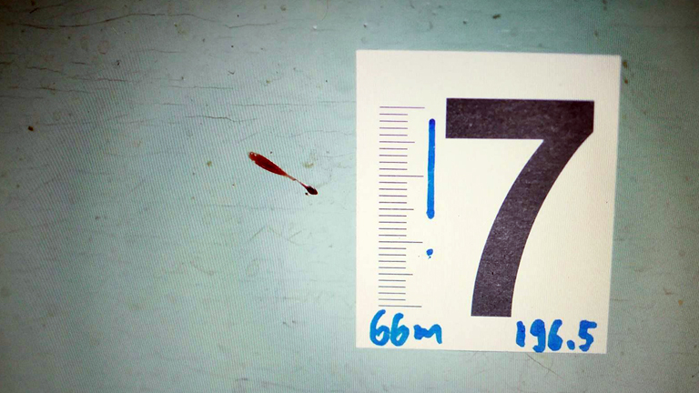 A vérnyomok pontos elemzéséhez szükséges koordináták, a kék csík a függőleges irányt jelöli (Fotó: Dr. Petrétei Dávid/BSZKI)