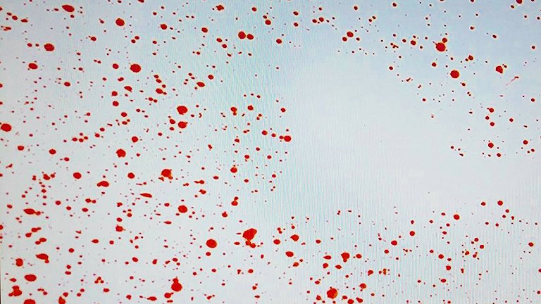 A vérnyomok hiánya is lehet árulkodó jel (Fotó: BSZKI)