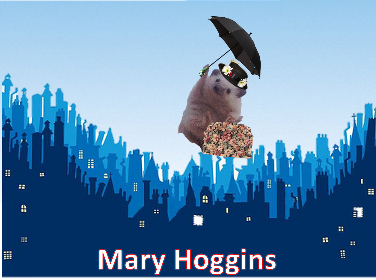 Photoshop-párbajt indított a diadalmas süni Photoshop-párbajt indított a diadalmas süni