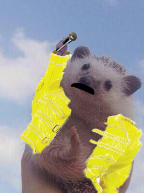 Photoshop-párbajt indított a diadalmas süni Photoshop-párbajt indított a diadalmas süni