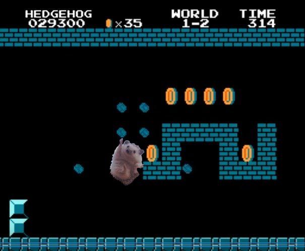 Photoshop-párbajt indított a diadalmas süni Photoshop-párbajt indított a diadalmas süni