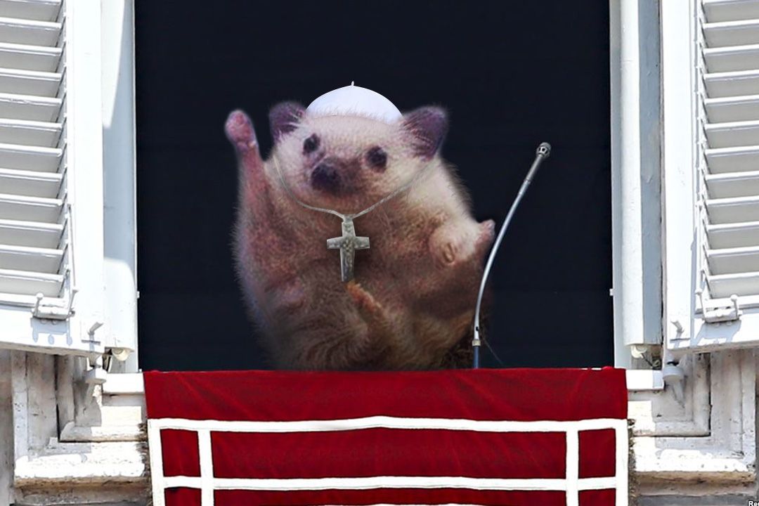 Photoshop-párbajt indított a diadalmas süni Photoshop-párbajt indított a diadalmas süni