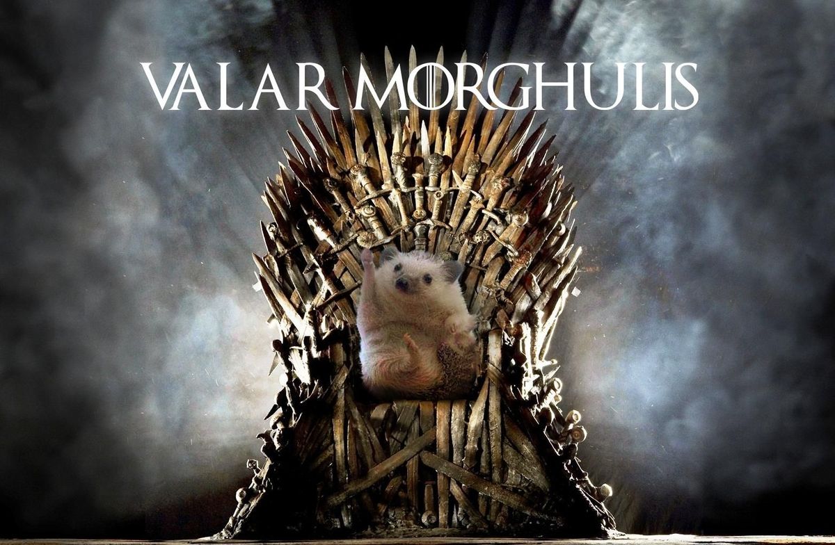 Photoshop-párbajt indított a diadalmas süni Photoshop-párbajt indított a diadalmas süni