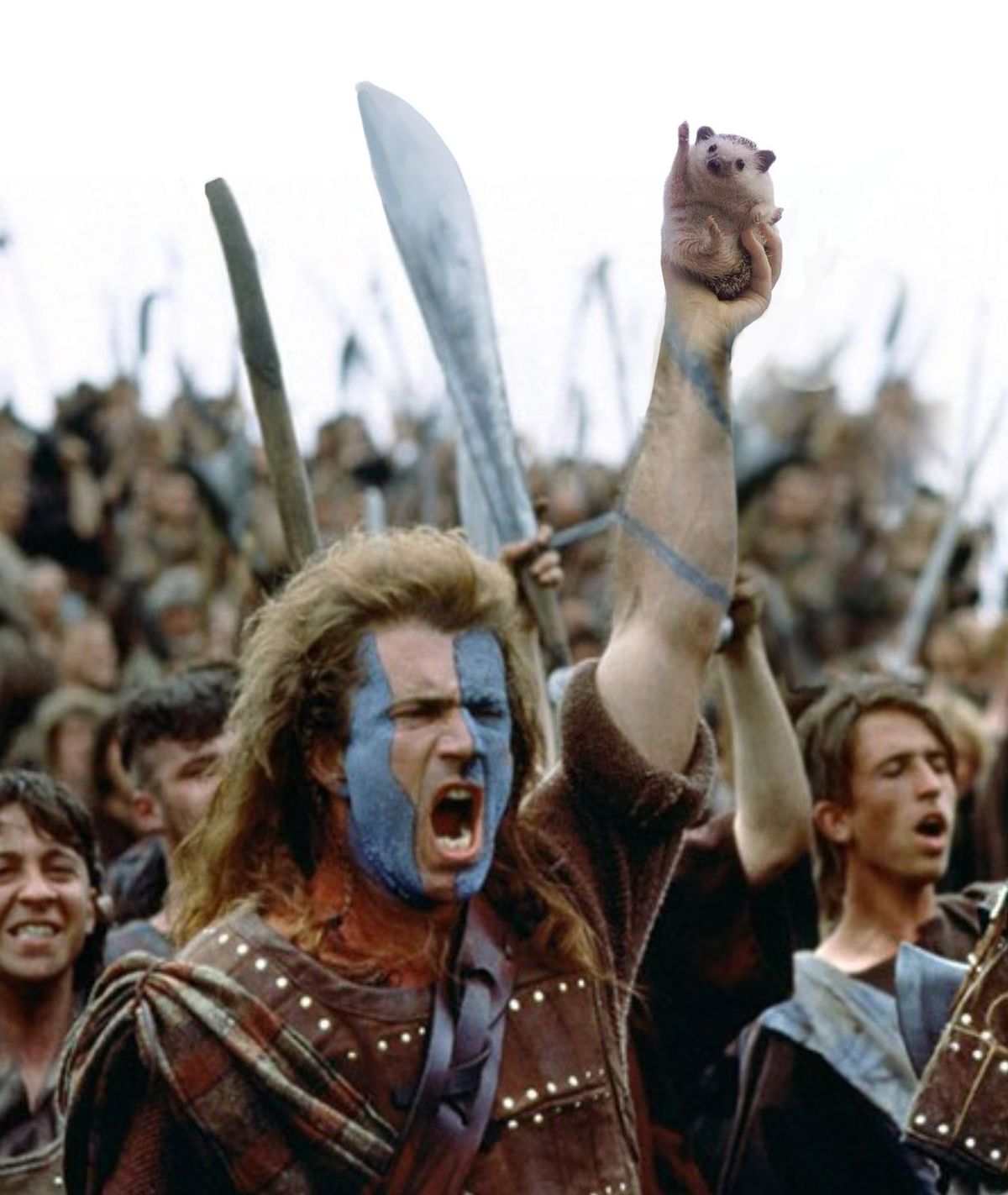 Photoshop-párbajt indított a diadalmas süni Photoshop-párbajt indított a diadalmas süni