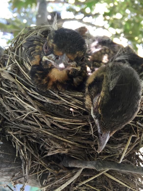 Saját szelfibotot épített a leleményes apuka
