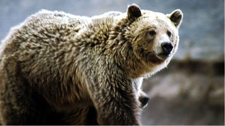 fotó: Wikipedia/NNPS Photo