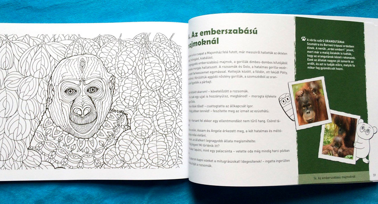 Bemutatjuk Orsit, aki festett kavicsokból épít magyar mesebirodalmat