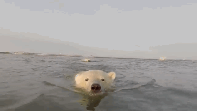 Csontolvasztó meleg lesz ma Csontolvasztó meleg lesz ma